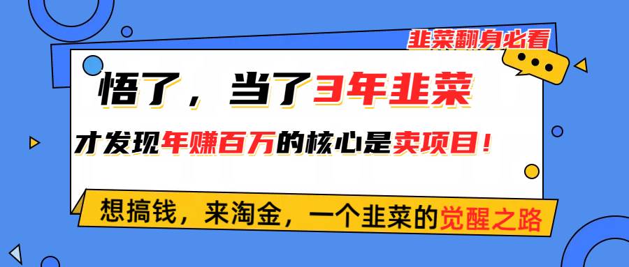 悟了，当了3年韭菜，才发现网赚圈年赚100万的核心是卖项目，含泪分享！-臻优网