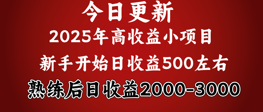 好项目一眼就能看出来，日收益1000，长久可做，2025拼的就是我比你勤奋-臻优网