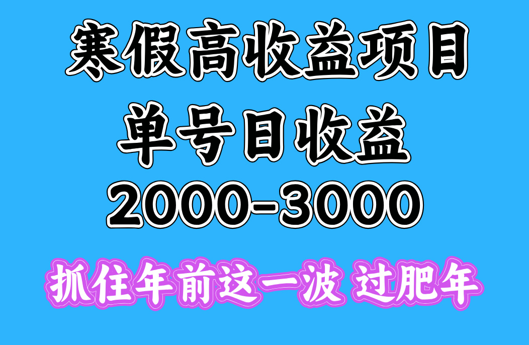 寒假期间一天收益2000-3000+，抓住年前这一波-臻优网