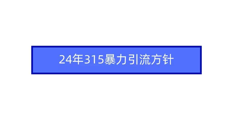 2024年315暴力引流方针-臻优网
