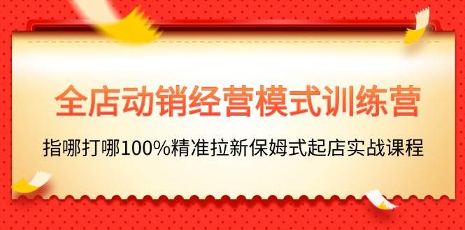 全店动销-经营模式训练营，指哪打哪100%精准拉新保姆式起店实战课程-臻优网