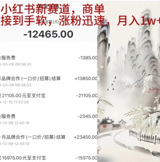 小红书新赛道，商单接到手软，涨粉迅速，一个月1w+-臻优网