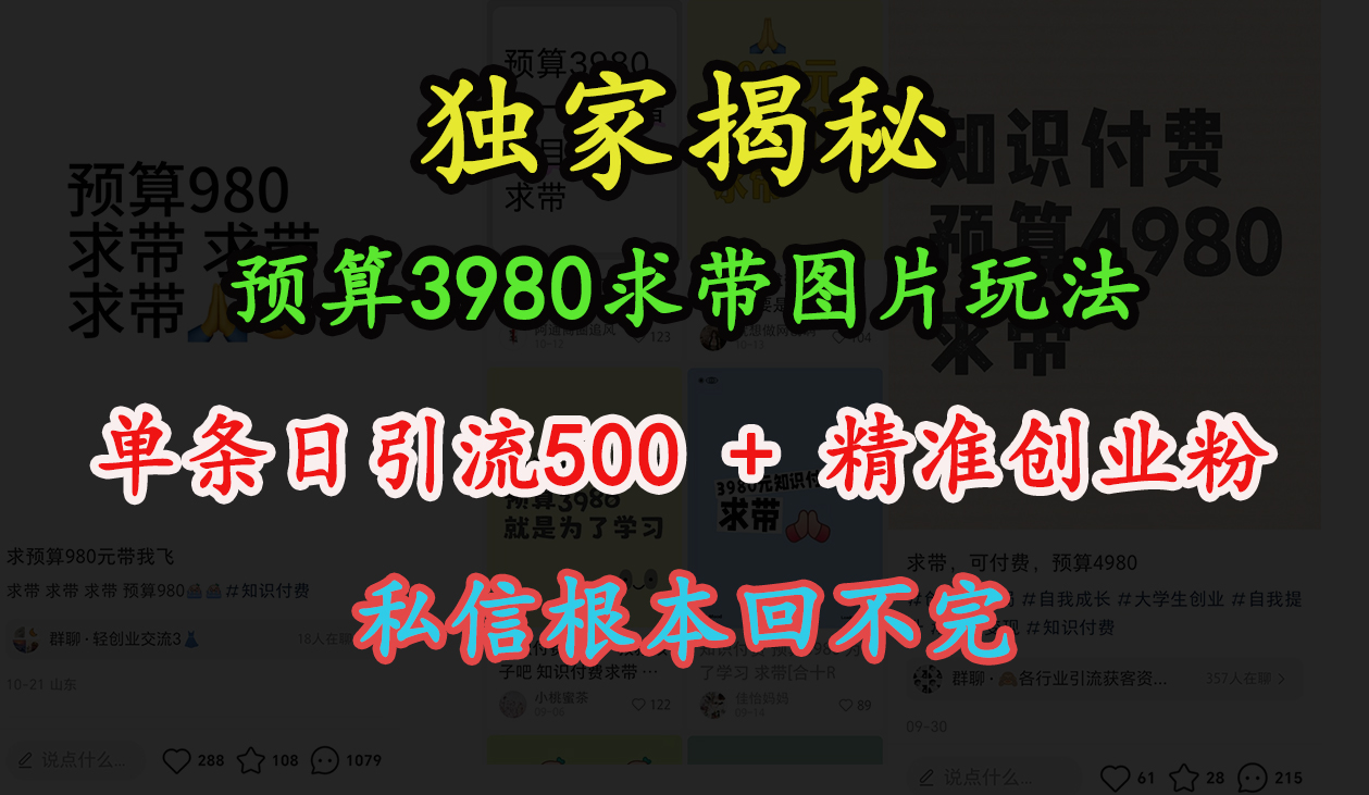 “小红书”预算3980求带 图片玩法，单条日引流500+精准创业粉，私信根本回不完-臻优网