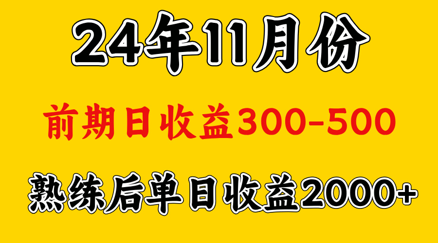 轻资产项目，前期日收益500左右，后期日收益1500-2000左右，多劳多得-臻优网