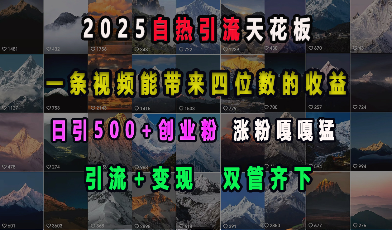 2025自热引流天花板，一条视频能带来四位数的收益，引流+变现双管齐下，日引500+创业粉，涨粉嘎嘎猛-臻优网