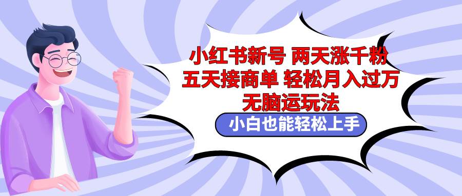小红书新号两天涨千粉五天接商单轻松月入过万 无脑搬运玩法 小白也能轻…-臻优网