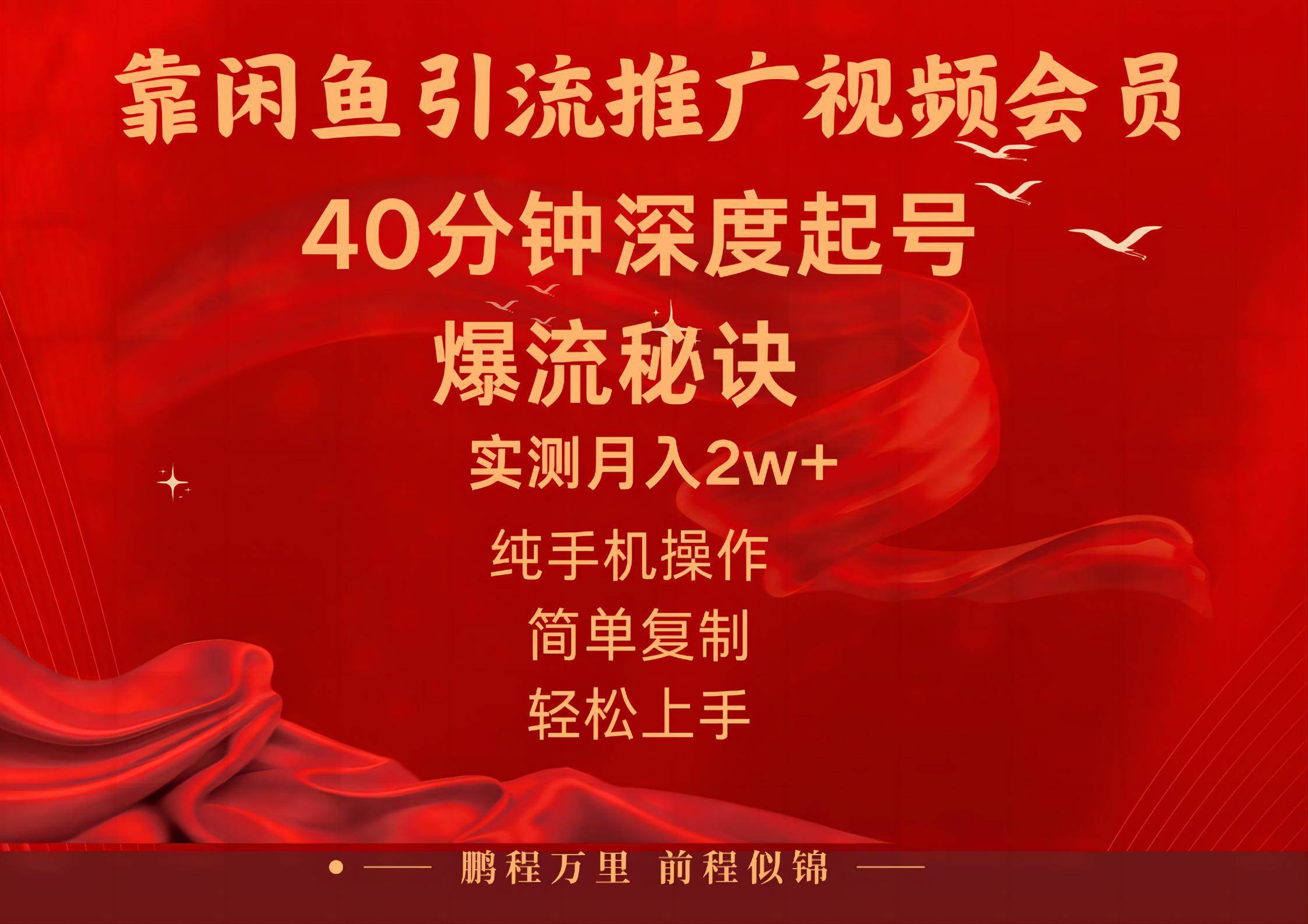 闲鱼暴力引流推广视频会员，能做到日入2W+，操作简单-臻优网