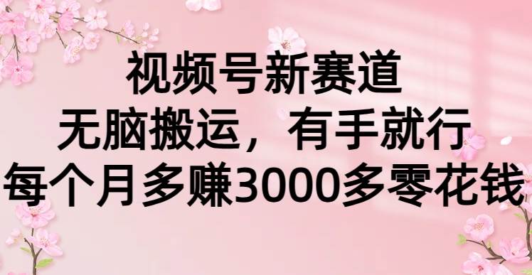 视频号新赛道，无脑搬运，有手就行，每个月多赚3000多零花钱-臻优网