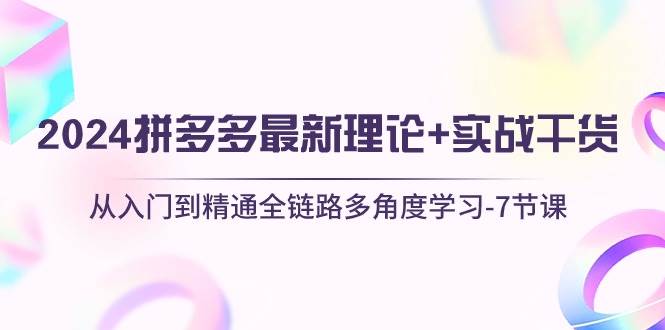 2024拼多多 最新理论+实战干货，从入门到精通全链路多角度学习-7节课-臻优网