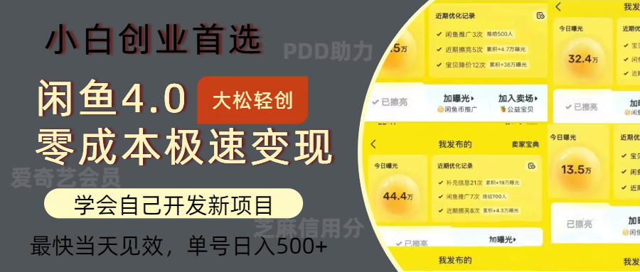 闲鱼0成本极速变现项目，多种变现方式，单号日入500+最新玩法-臻优网