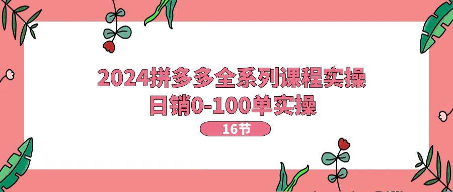2024拼多多全系列课程实操，日销0-100单实操【16节课】-臻优网