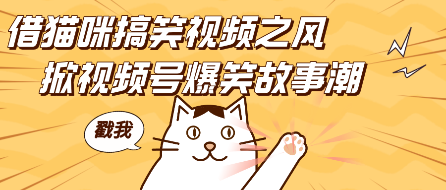 借猫咪搞笑视频之风，掀视频号爆笑故事潮，轻松日赚四位数，开启无门槛赚钱新体验！-臻优网