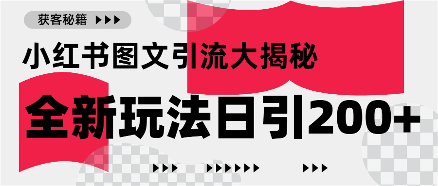 小红书图文引流，只需一张图片即可撬动百万流量，日引200+创业粉-臻优网