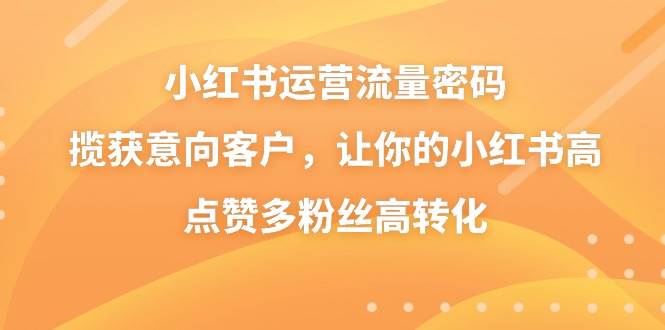 小红书运营流量密码，揽获意向客户，让你的小红书高点赞多粉丝高转化-臻优网