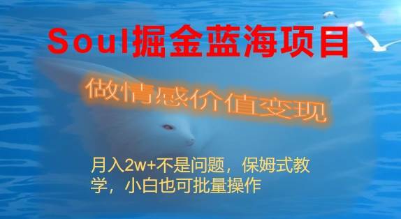 Soul掘金蓝海项目细分赛道，做情感价值变现，月入2w+不是问题-臻优网