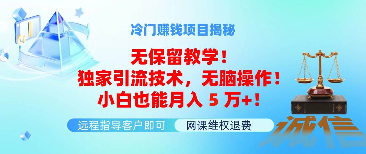 冷门赚钱项目无保留教学！独家引流技术，无脑操作！小白也能月入5万+！-臻优网