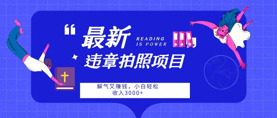 最新违章拍照项目，解气又赚钱，随手一拍，轻松收入3000-臻优网