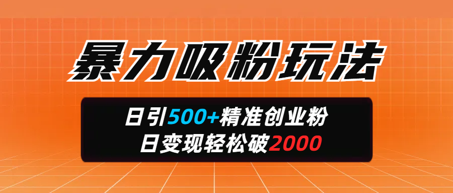 暴力吸粉玩法，日引500+精准创业粉，日变现轻松破2000-臻优网