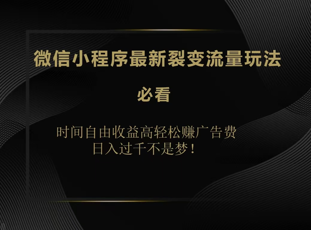 微信小程序最新裂变流量玩法，时间自由收益高轻松赚广告费，日入200-500+-臻优网