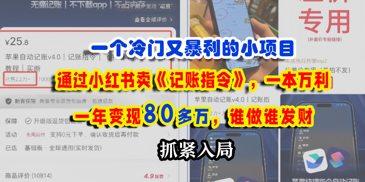 一个冷门又暴利的小项目，通过小红书卖《记账指令》，一本万利，一年变现80多万，谁做谁发财-臻优网