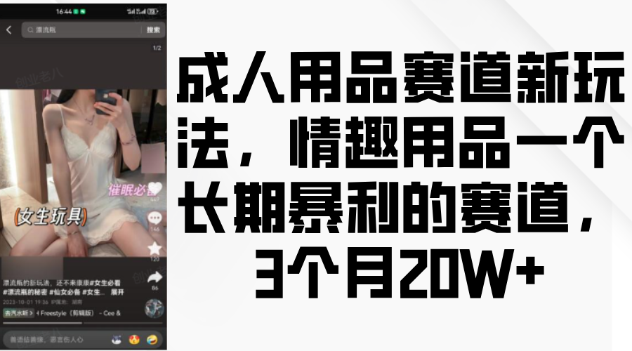 情趣用品一个长期暴利的赛道，成人用品赛道新玩法，3个月20W+-臻优网