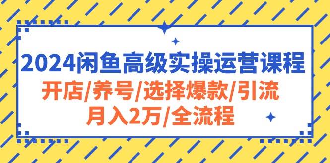 2024闲鱼高级实操运营课程：开店/养号/选择爆款/引流/月入2万/全流程-臻优网