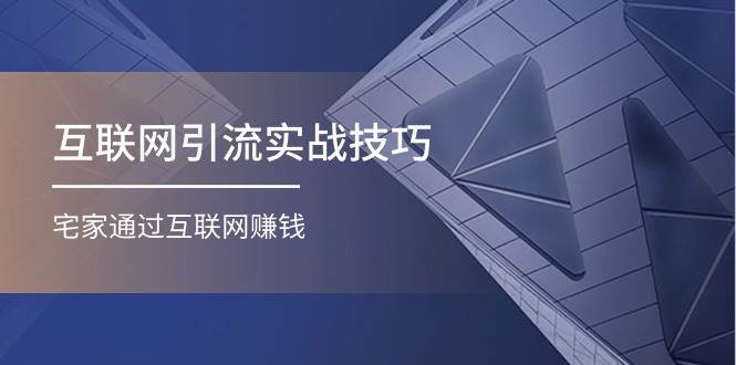 互联网引流实操技巧(适合微商，吸引宝妈)，宅家通过互联网赚钱（17节）-臻优网