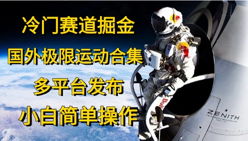 冷门赛道掘金，极限运动合集，多平台发布，小白简单操作-臻优网