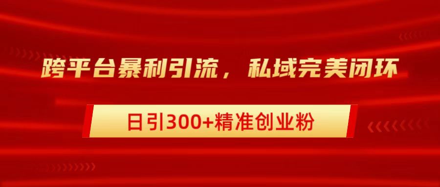 跨平台暴力引流，私域完美闭环，日引300+精准创业粉-臻优网