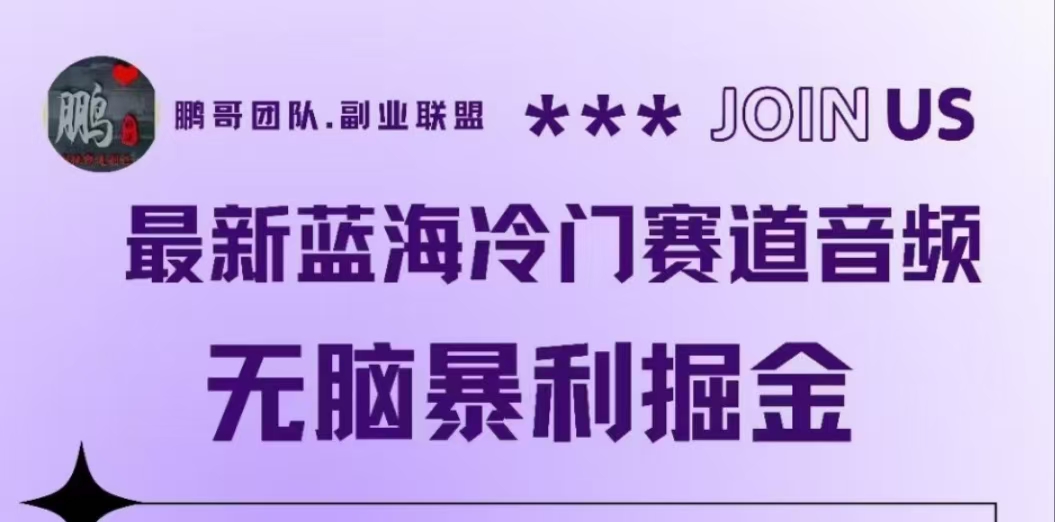 最新蓝海冷门赛道音频，无脑暴利掘金-臻优网