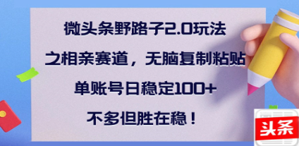 全网首发微头条野路子2.0玩法之相亲赛道，无脑搬砖复制粘贴，单账号日稳定300+保姆级教程-臻优网
