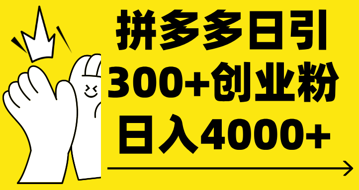 拼多多日引300+创业粉 日入4000+-臻优网