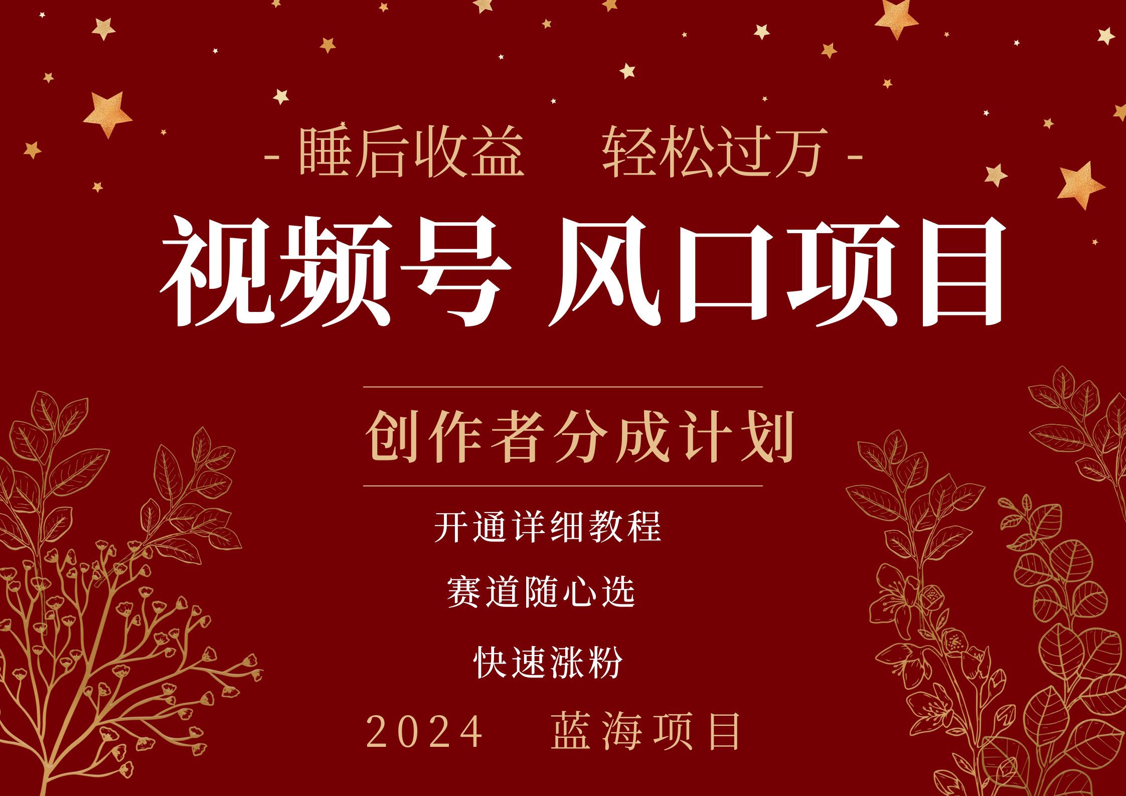 拥有睡眠收益的微信视频号大风口项目，轻松月入过万+，多赛道选择，可矩阵，玩法简单轻松上手-臻优网