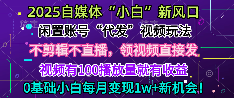 2025每月躺赚5w+新机会，闲置视频账号一键代发玩法，0粉不实名不剪辑，领了视频直接发，0基础小白也能日入300+-臻优网