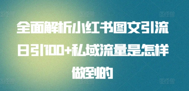 日引流100私域流量小红书图文是怎样做到的全面解析-臻优网