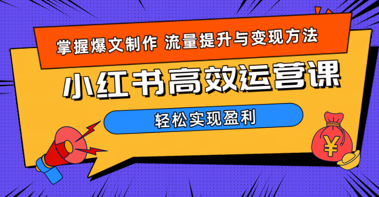 价值980小红书运营操作指南-臻优网