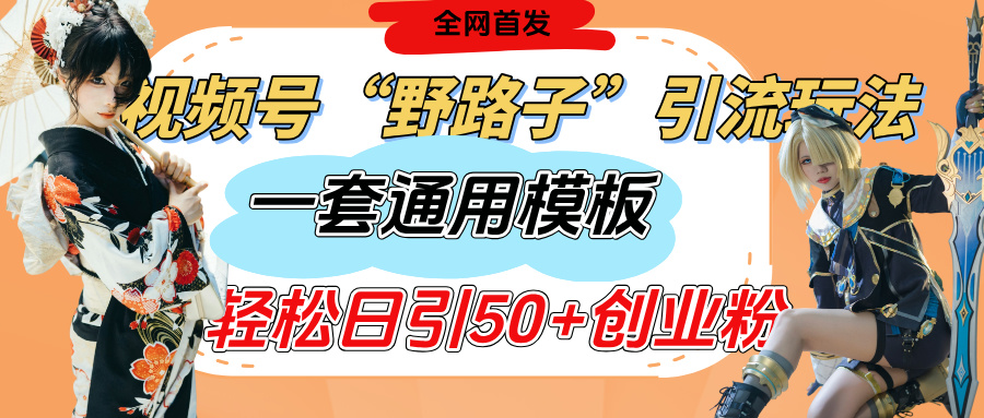 视频号“野路子”玩法，评论区疯狂截流，一套模板单日单号引流50+创业粉-臻优网