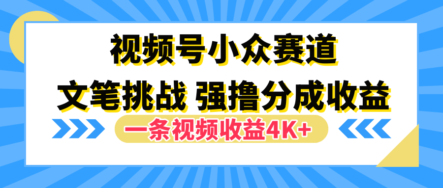 视频号小众赛道，文笔挑战，一条视频收益4K+-臻优网