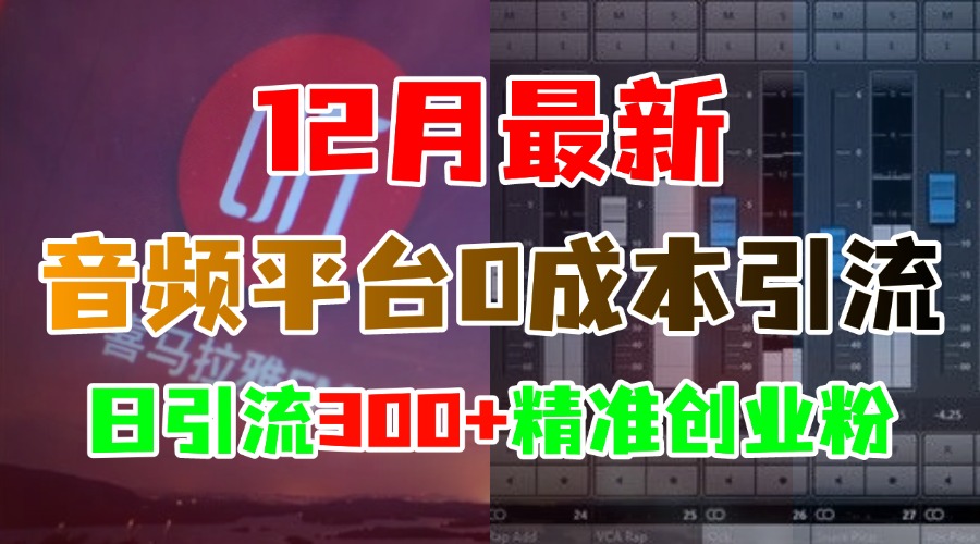 12月最新：音频平台0成本引流，日引300+精准创业粉-臻优网