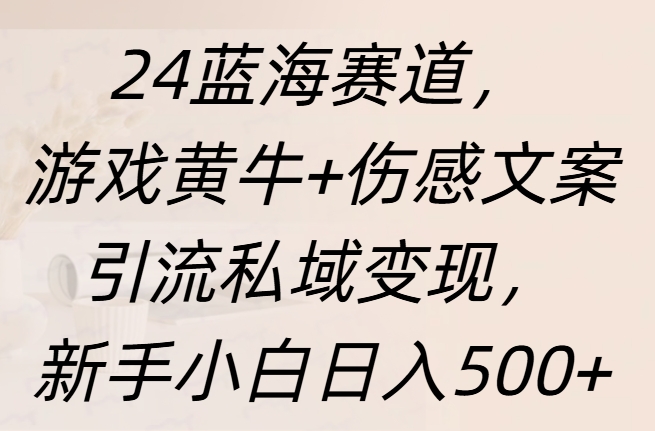 24蓝海赛道，游戏黄牛+伤感文案引流私域变现，新手日入500+-臻优网