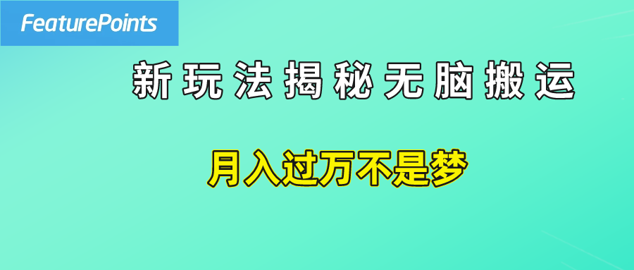 简单操作，每天50美元收入，搬运就是赚钱的秘诀！-臻优网