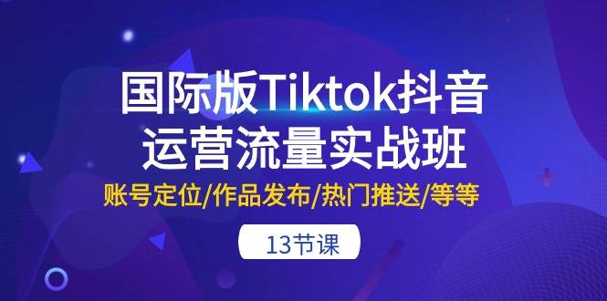 国际版Tiktok抖音运营流量实战班：账号定位/作品发布/热门推送/等等-13节-臻优网