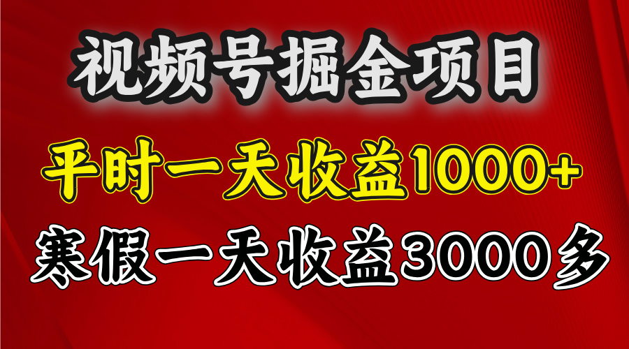 视频号掘金项目，寒假一天收益3000多-臻优网