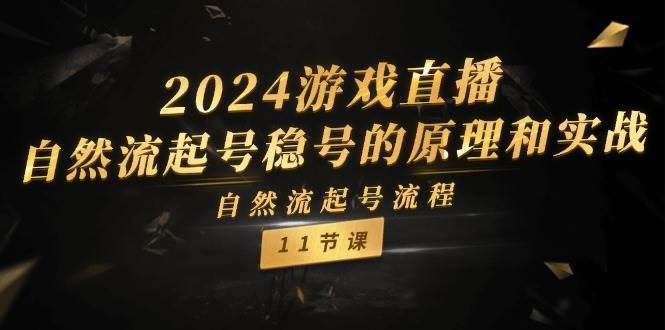 2024游戏直播-自然流起号稳号的原理和实战，自然流起号流程（11节）-臻优网