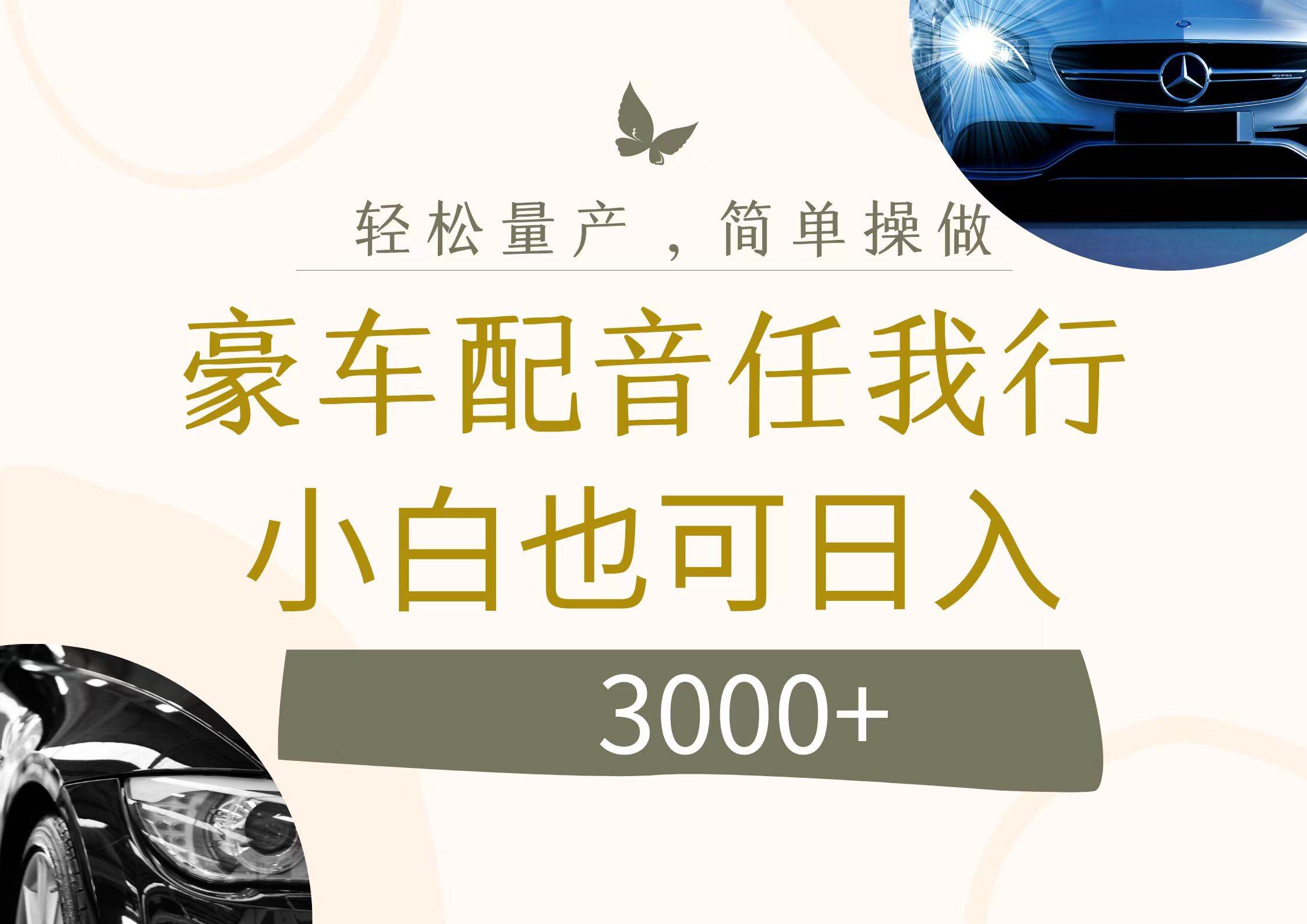 不为人知的暴力小项目，豪车配音，日入3000+-臻优网