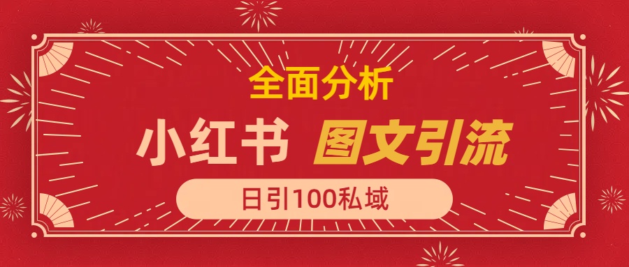 小红书图文引流，全面解析日引100私域流量是怎样做到的-臻优网