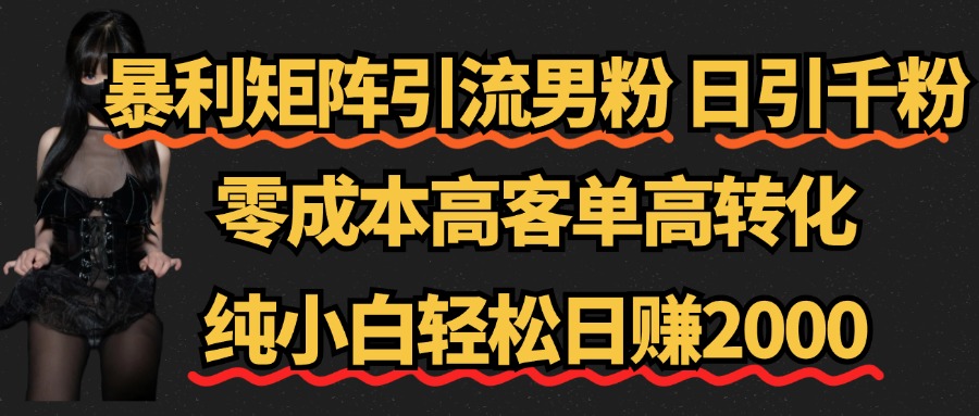 暴利矩阵引流男粉（日引千粉），零成本高客单高转化，纯小白轻松日赚2000+-臻优网