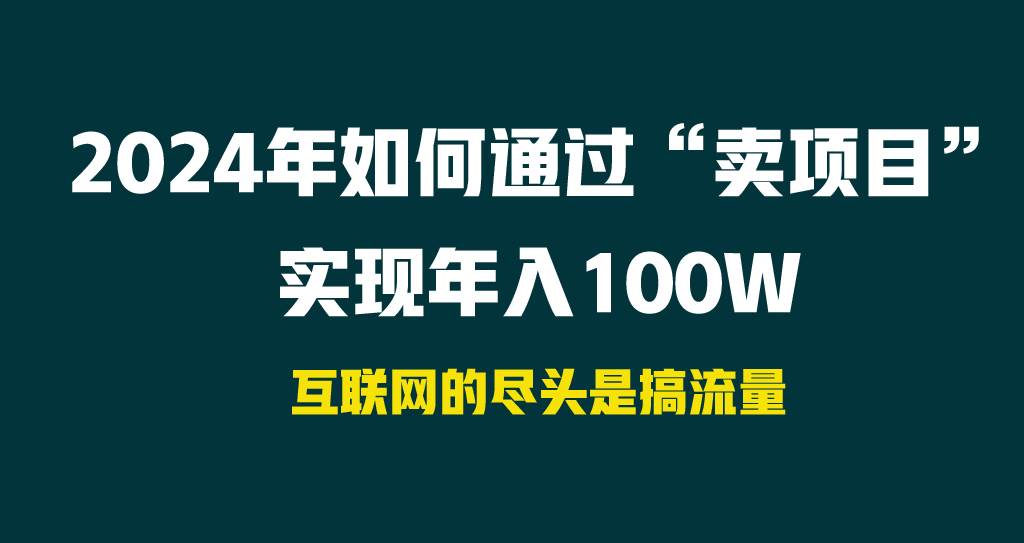 2024年如何通过“卖项目”实现年入100W-臻优网