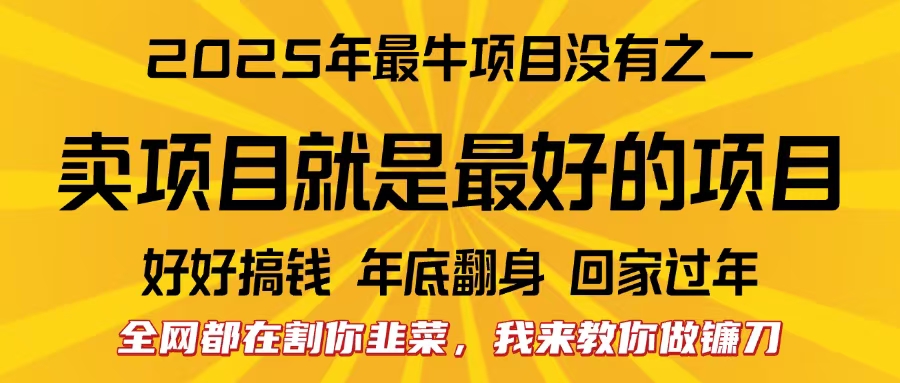 全网都在割你韭菜，我来教你做镰刀。卖项目就是最好的项目，2025年最牛互联网项目-臻优网