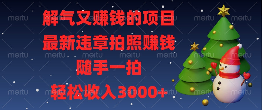 解气又赚钱的项目，最新违章拍照赚钱，随手一拍，轻松收入3000+-臻优网